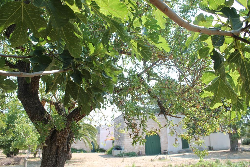 Masseria Vivi Il Salento Santa Caterina  Chambre photo