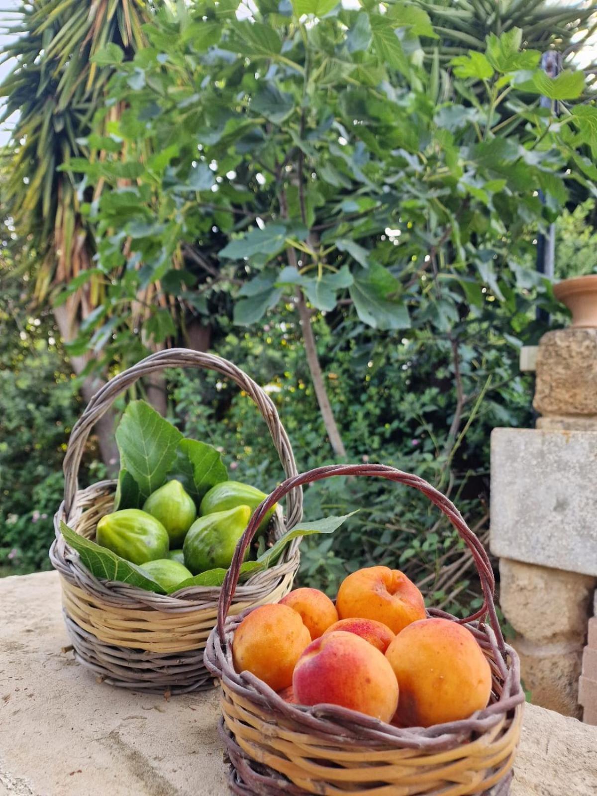 Masseria Vivi Il Salento Santa Caterina  Extérieur photo