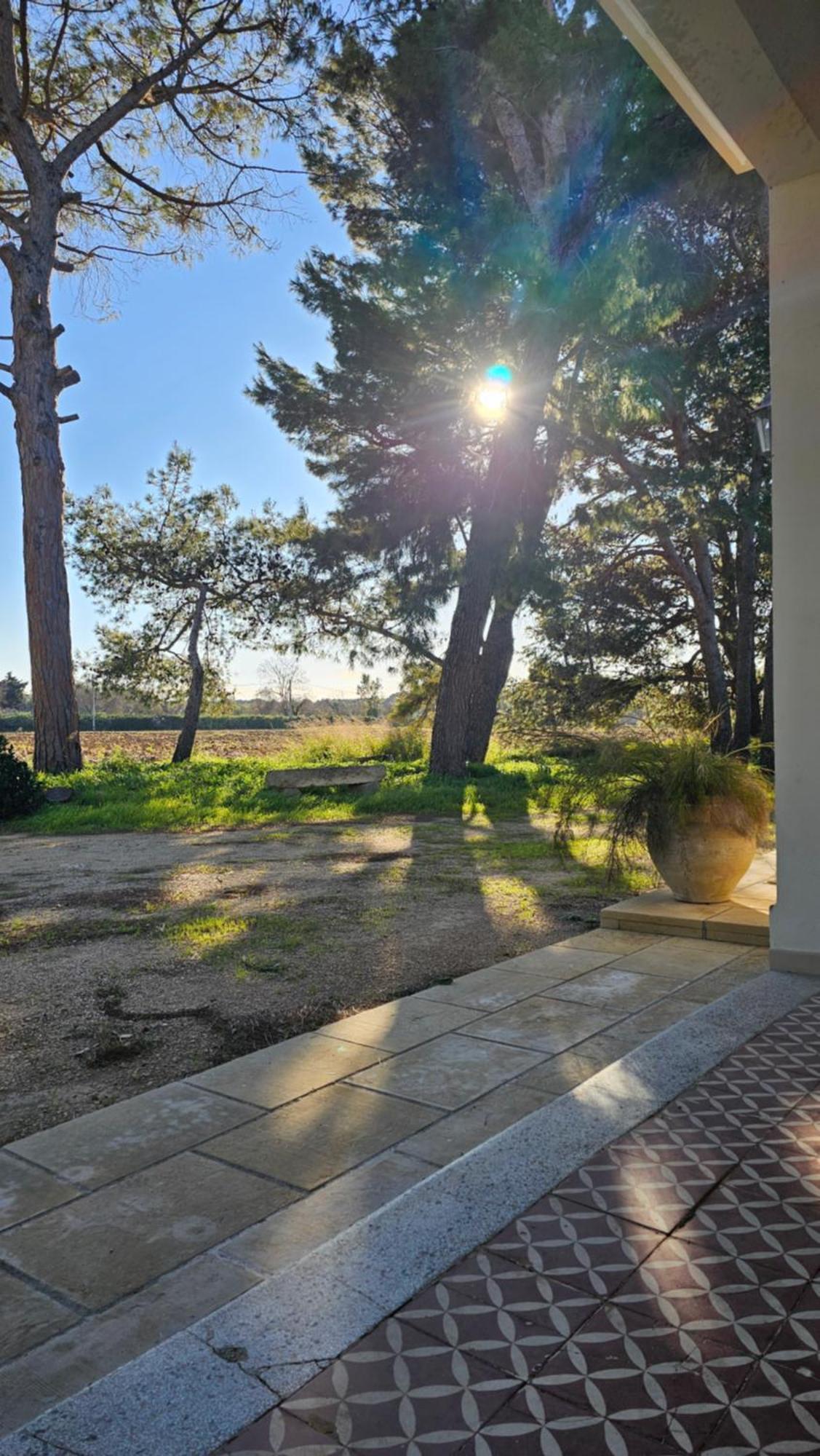 Masseria Vivi Il Salento Santa Caterina  Extérieur photo