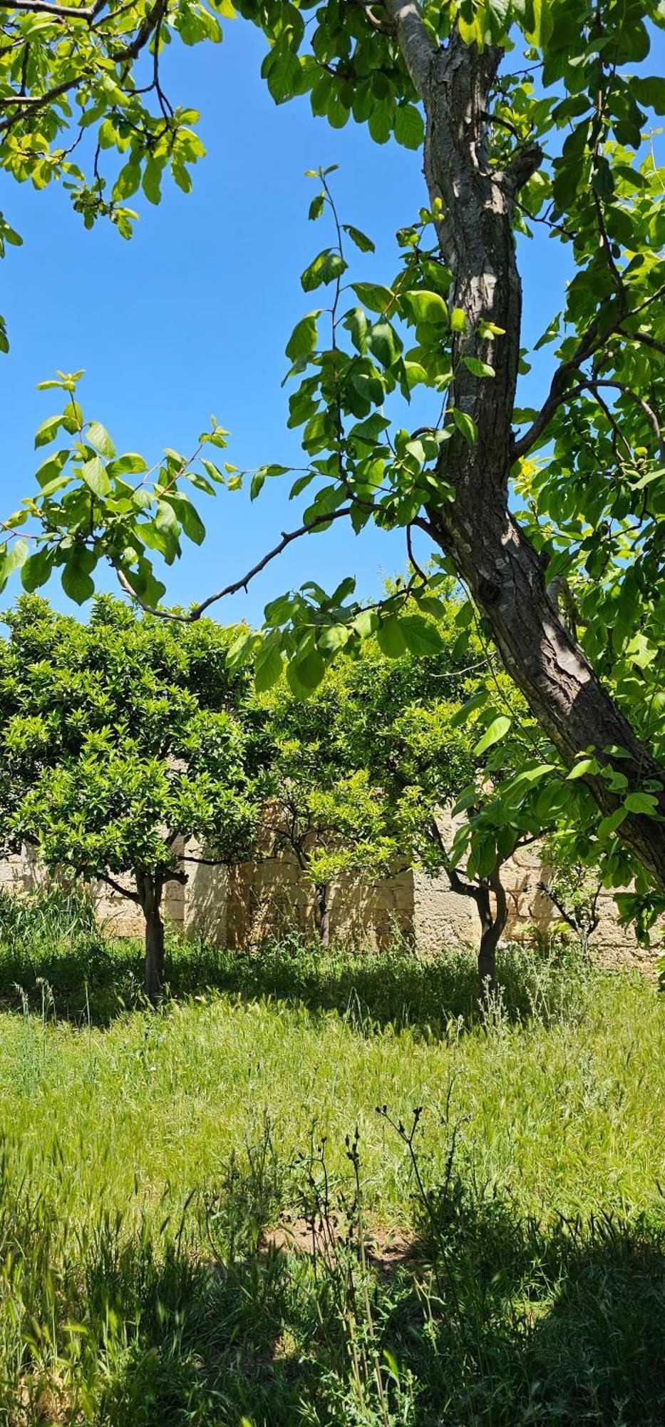 Masseria Vivi Il Salento Santa Caterina  Extérieur photo